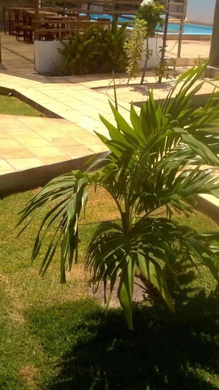 Pousada White Sand Gostoso Sao Miguel do Gostoso Exterior photo